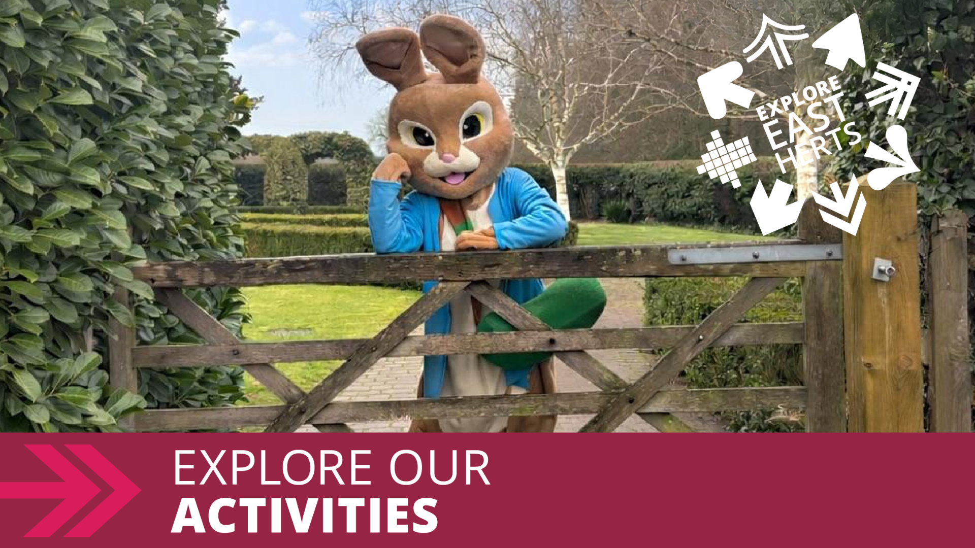 rabbit standing behind a gate with bushes either side